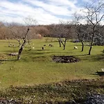 Renata - Brseč