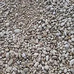 Renata - Apartman Brseč
