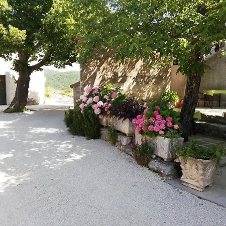 Apartment Renata - *