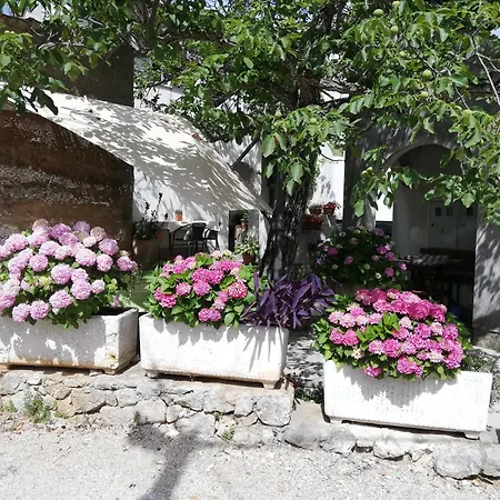 Apartman Renata - *