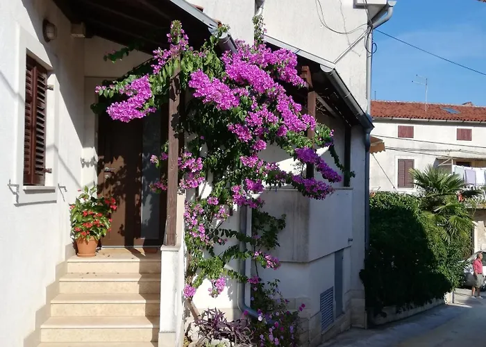 Renata - Διαμέρισμα *